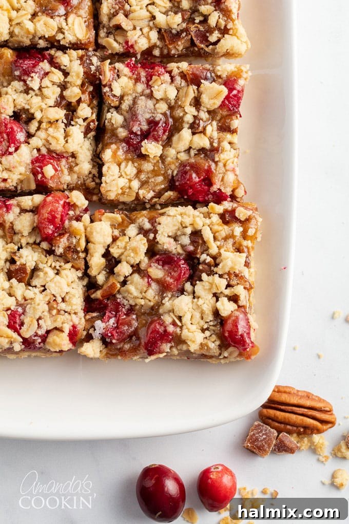 Plate of baked cranberry caramel bars ready to serve