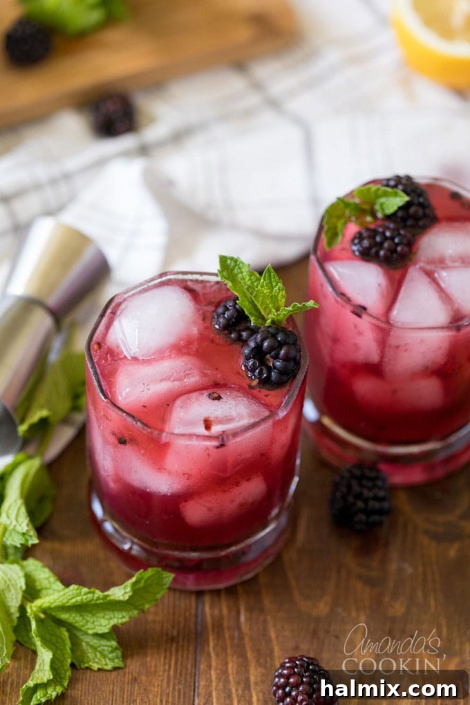 Twilight Berry Bourbonade 2 two glasses of blackberry bourbon lemonade
