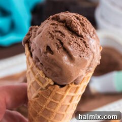 Ice cream cone of Homemade Chocolate Ice Cream
