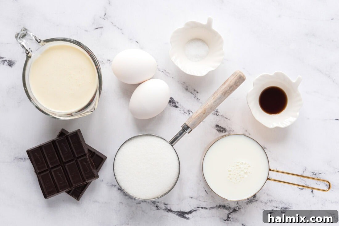 Ingredients for Homemade Chocolate Ice Cream