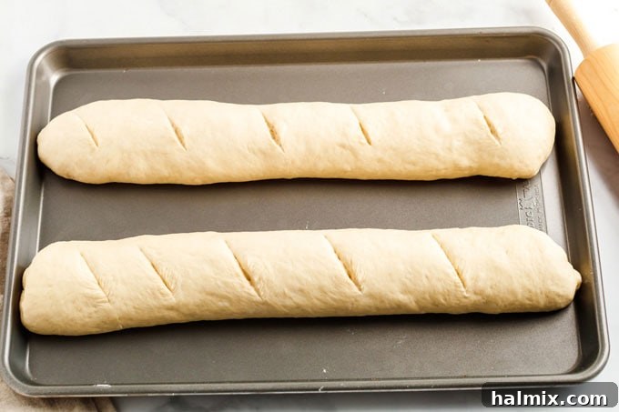two loaves of bread dough on baking sheet