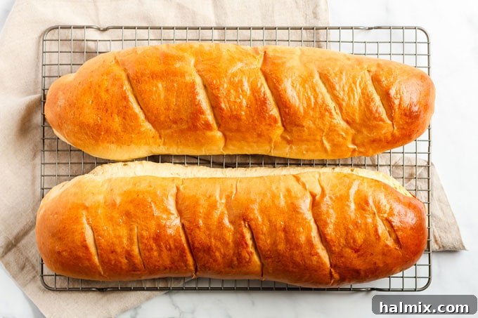 baked dough loaves