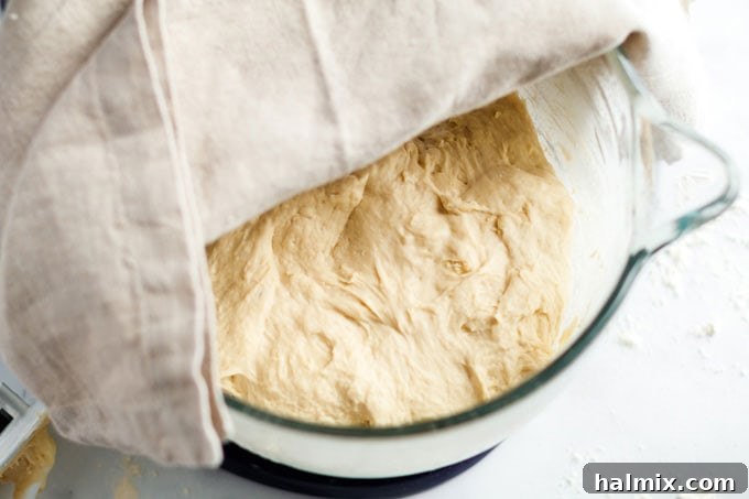bread dough in bowl with kitchen towel
