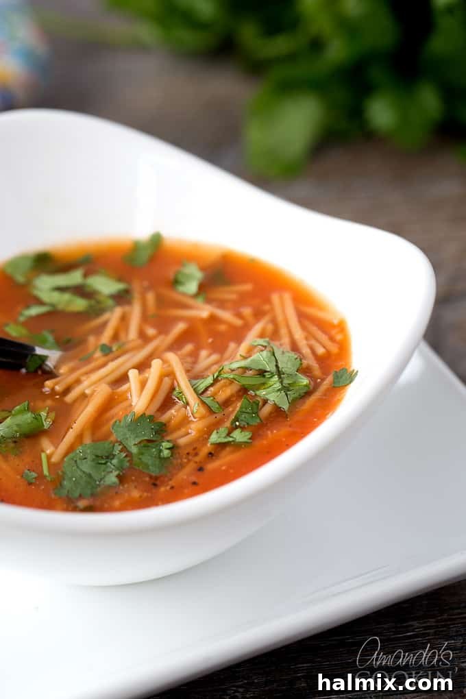 Mexican noodle soup my friends! Super delicious, and just like the appetizer soup you are served at authentic Mexican restaurants! Delicious Sopa de Fideos classic Mexican Noodle Soup