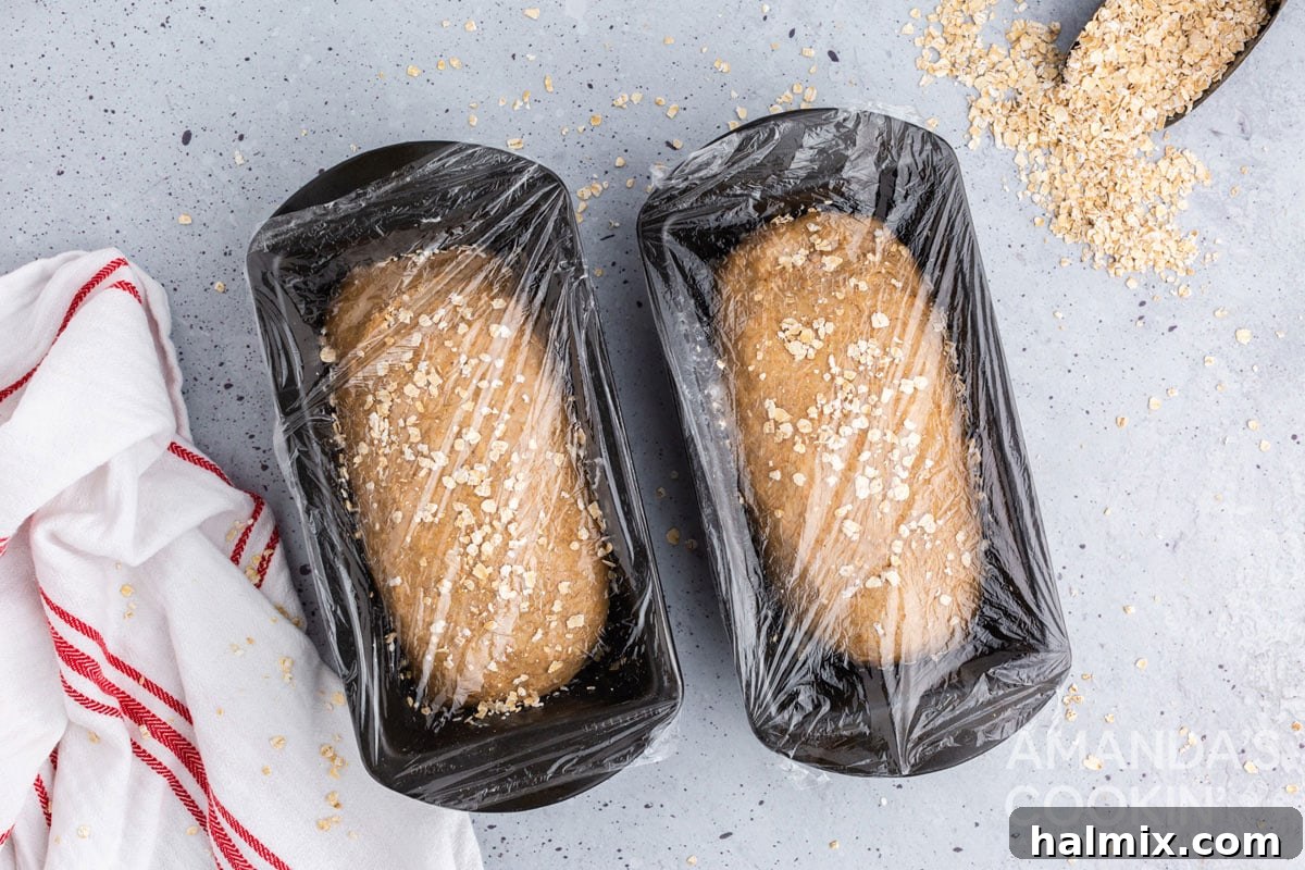Two loaf pans, meticulously covered with plastic wrap, housing bread dough undergoing its final rise before baking.