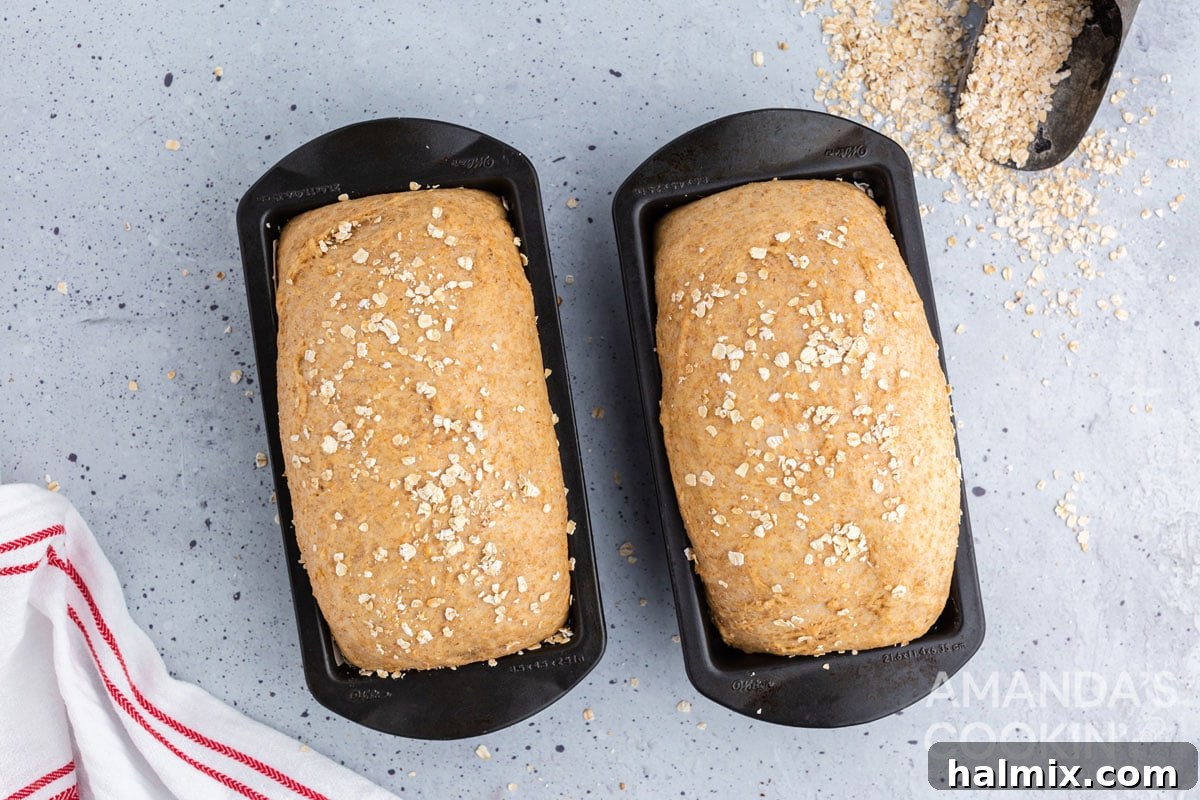 Two perfectly risen and golden-brown loaves of multigrain bread, just out of the oven, showcasing their readiness.