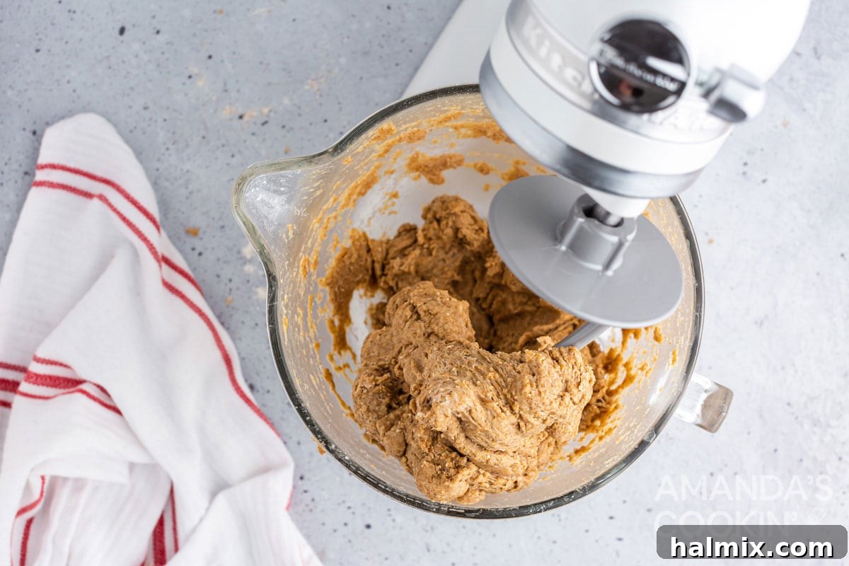 Lightly floured, well-kneaded bread dough wrapped around the dough hook of a stand mixer, demonstrating proper gluten development.