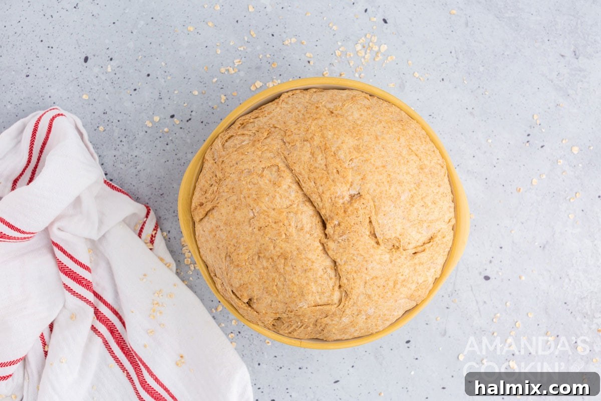 A mixing bowl filled with bread dough that has successfully risen and doubled in size, indicating readiness for the next baking stage.