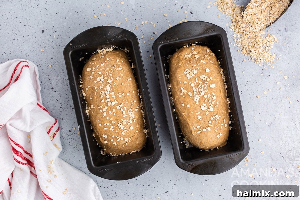 Two loaf pans, each containing a perfectly shaped portion of multigrain bread dough, sprinkled with oats, and ready for their second rise.