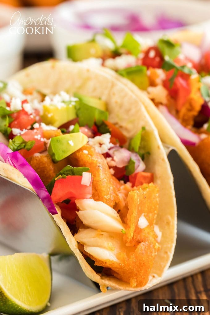 Baja Fish Bites 4 fish taco in a taco holder