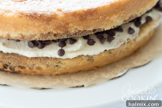 layered tiramisu cake before frosting