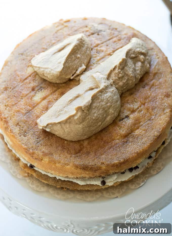 dollops of frosting on top of tiramisu cake