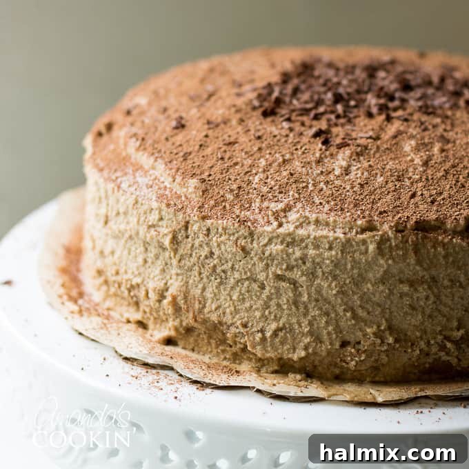 tiramisu cake presented beautifully