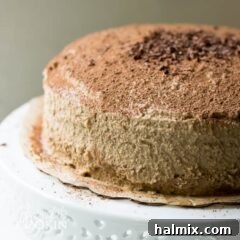 tiramisu cake