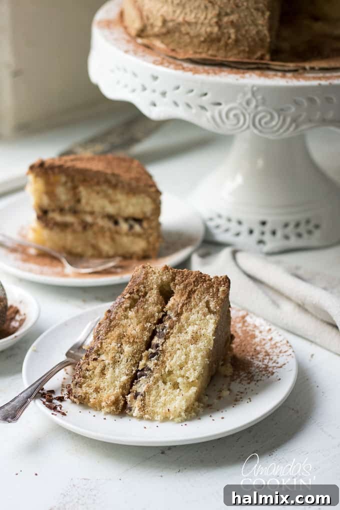 a beautifully decorated tiramisu cake