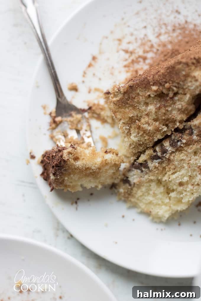 close-up of tiramisu cake slice with layers