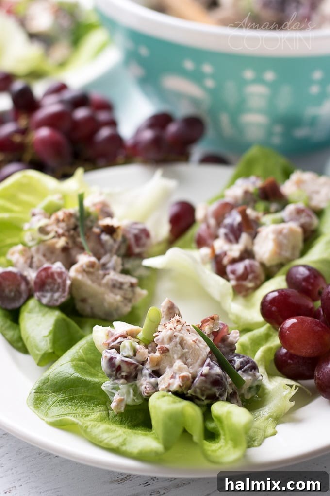 Refreshing Chicken Salad with Grapes on Lettuce for a Healthy Meal Scoops of chicken salad with grapes artfully arranged on a bed of fresh green lettuce leaves, ready to be served.