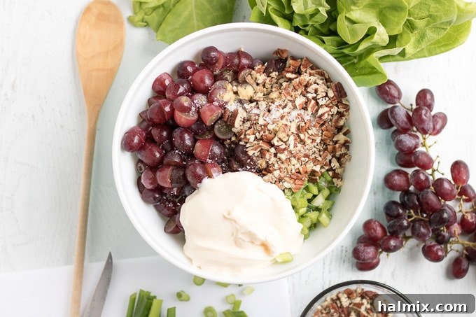 Preparing the Creamy Dressing for Chicken Salad Mayonnaise, ginger, and salt are whisked together in a large mixing bowl, forming the creamy base for the chicken salad.