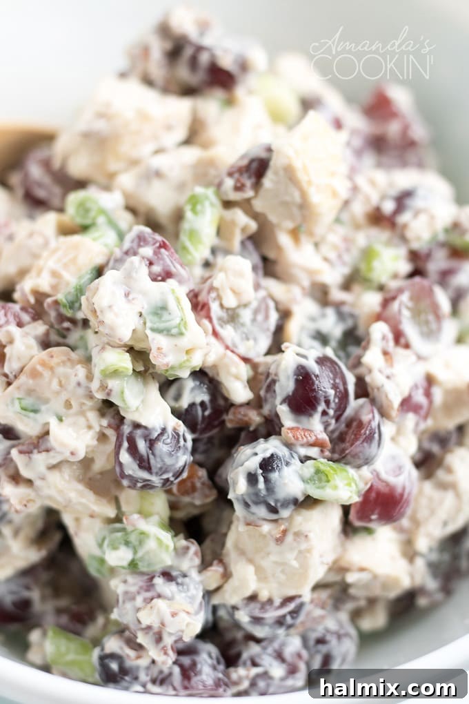 Detailed Close-up of Delicious Chicken Salad with Grapes A close-up view of the chicken salad with grapes, showing the detailed texture of the chicken, the sheen of the grapes, and the creamy dressing.