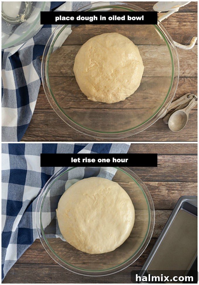 bread dough in a bowl