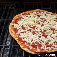 A close up of a pizza on a grill