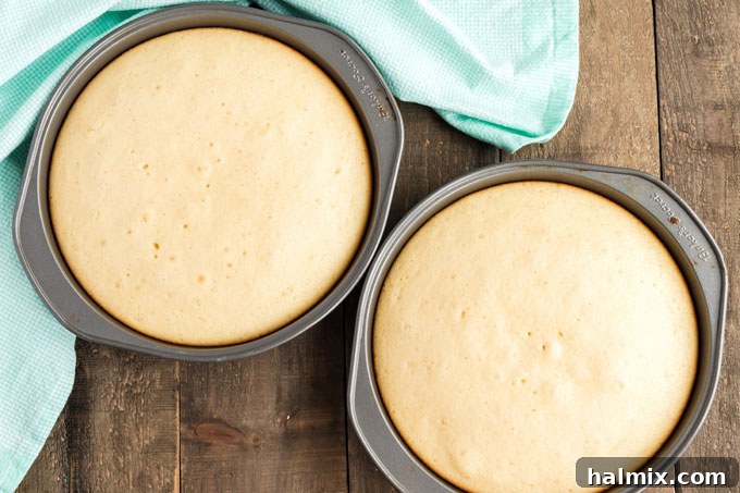 Timeless Vanilla White Cake 7 two round cake pans with baked white cake