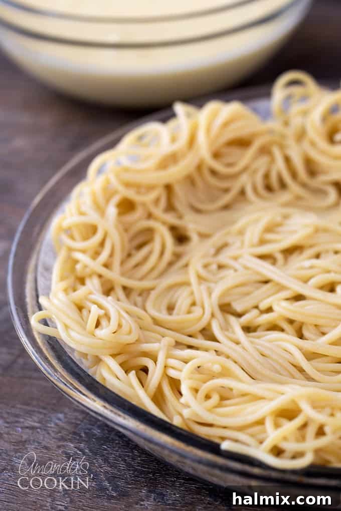 Golden Crust Spaghetti Pie 6 Cooked spaghetti carefully pressed into the bottom and sides of a pie plate, forming a crust.