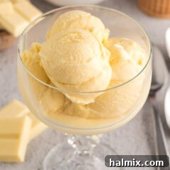 Scoops of White Chocolate Ice Cream in a sundae cup