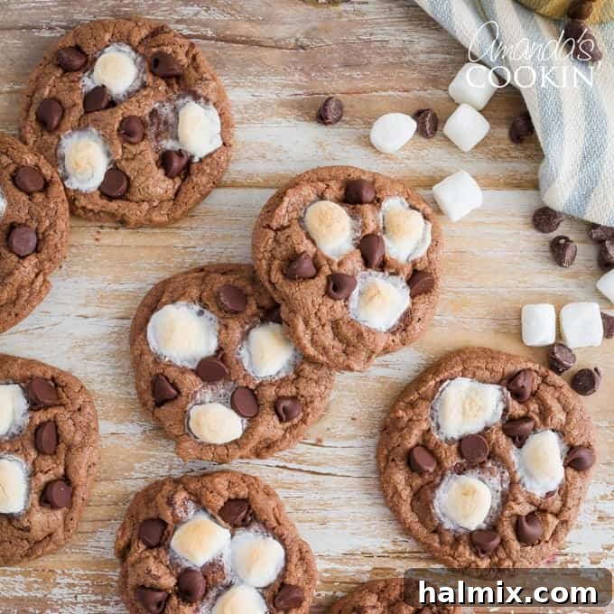 mississippi mud cookies on a table