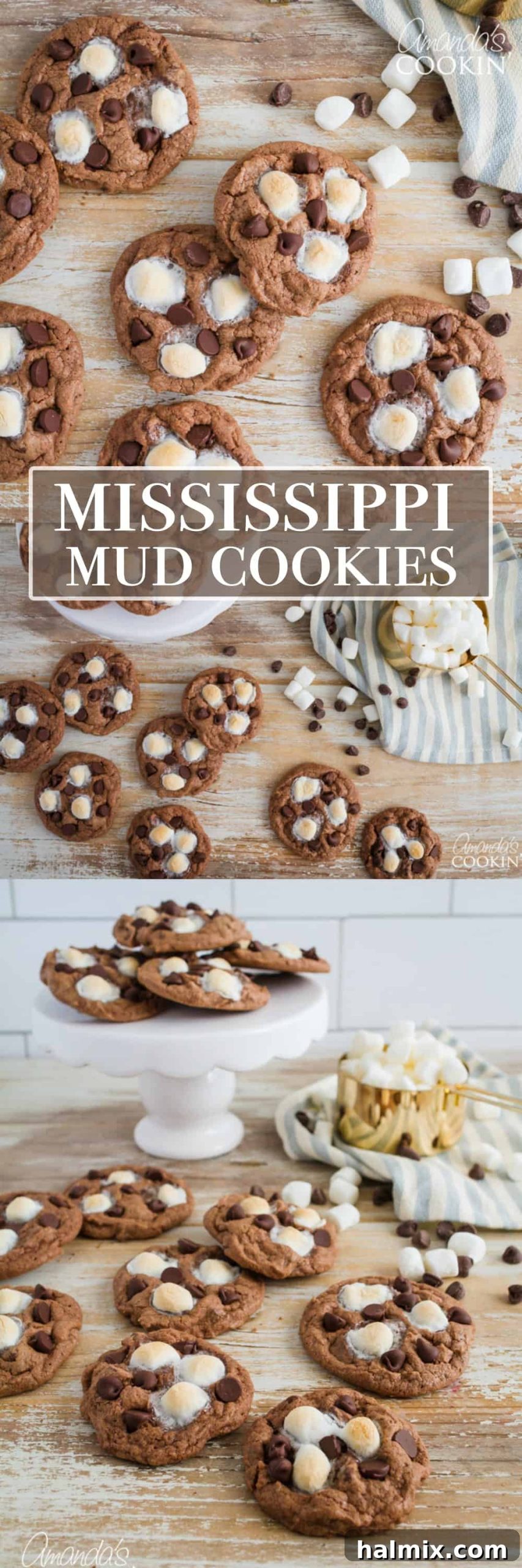 pinterest image with text mississippi mud cookies 