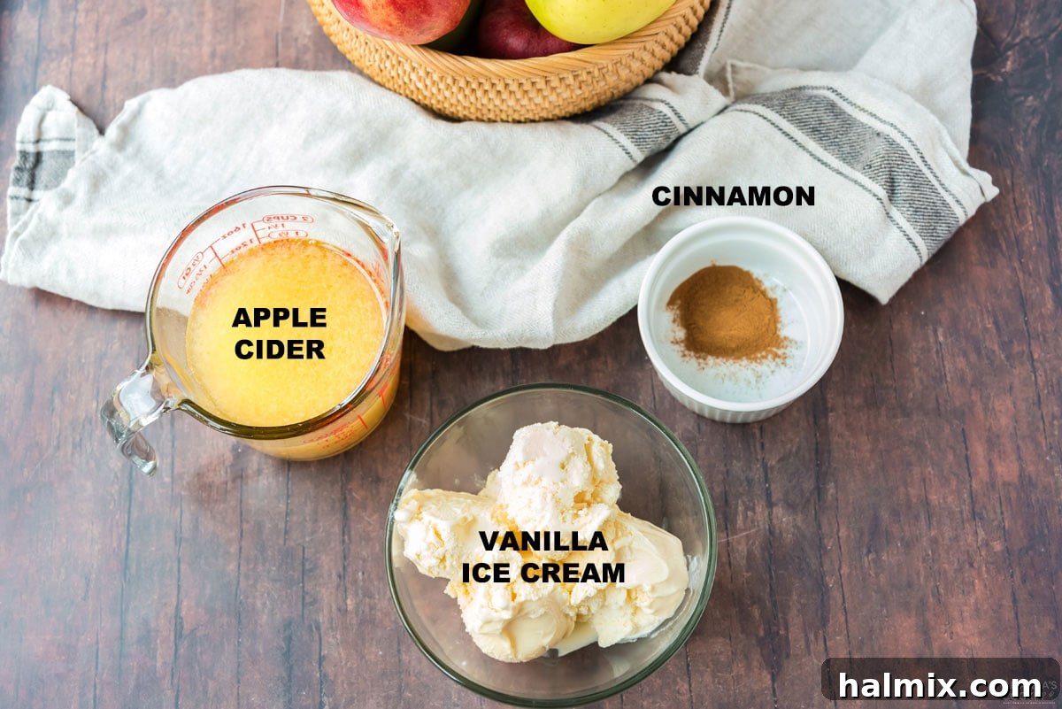 Vanilla ice cream, a bottle of apple cider, and a small bowl of ground cinnamon laid out as ingredients for milkshakes