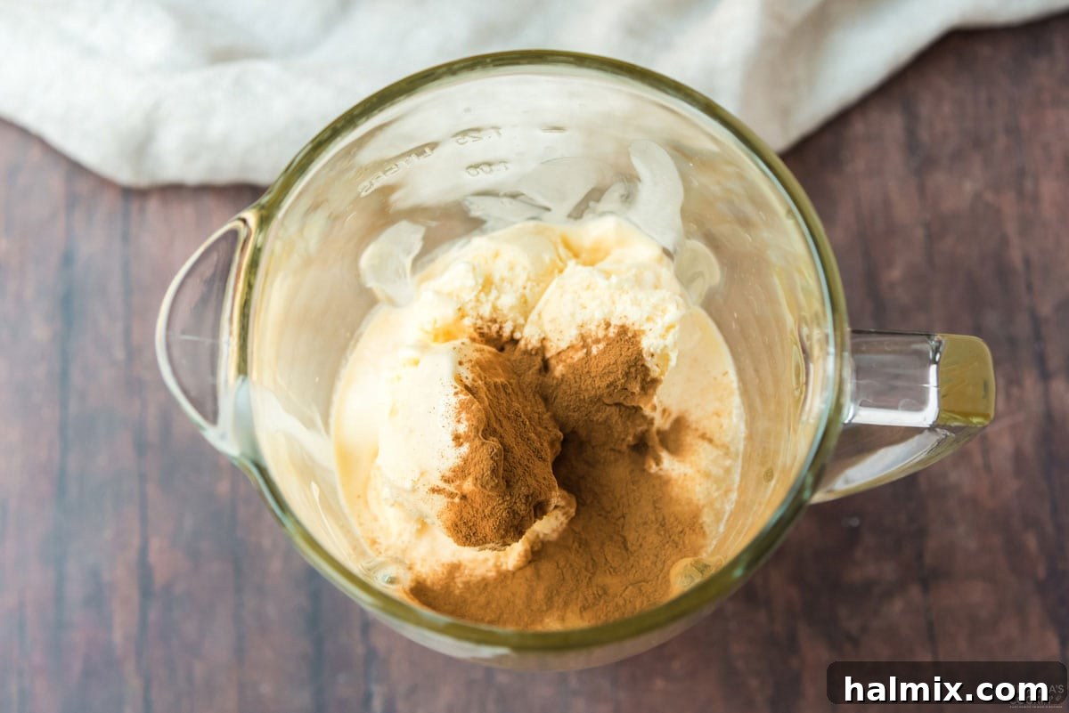 Spiced Apple Cream Shake 3 Vanilla ice cream, apple cider, and cinnamon being added to a blender