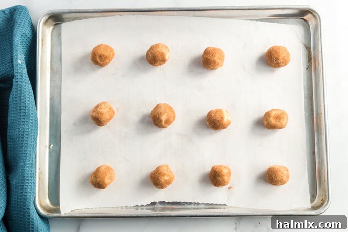 Snickerdoodle cookie dough balls evenly spaced on a baking sheet lined with parchment paper.
