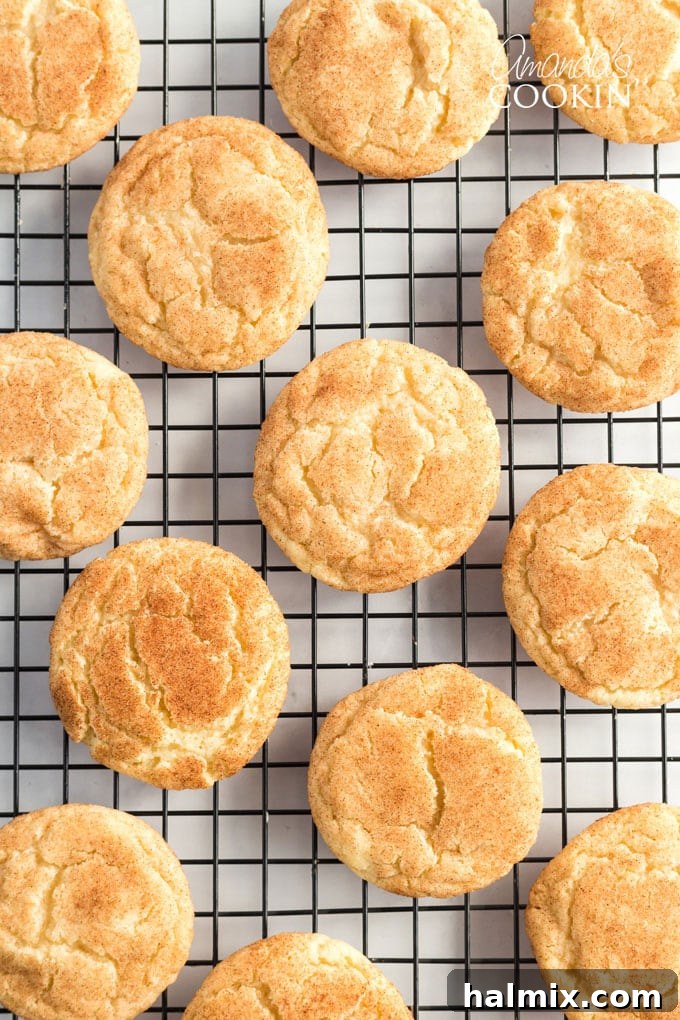 Freshly baked snickerdoodles cooling on a wire rack.
