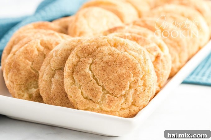 A plate of warm snickerdoodle cookies, ready to be enjoyed.