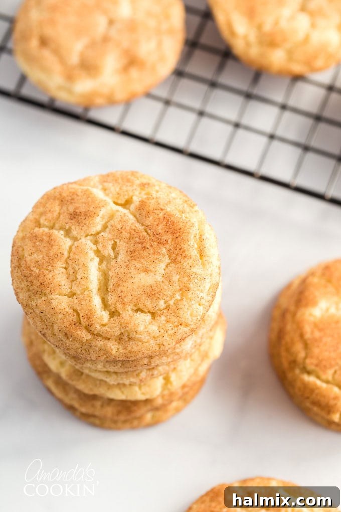 An overhead view of a neat stack of homemade snickerdoodle cookies.