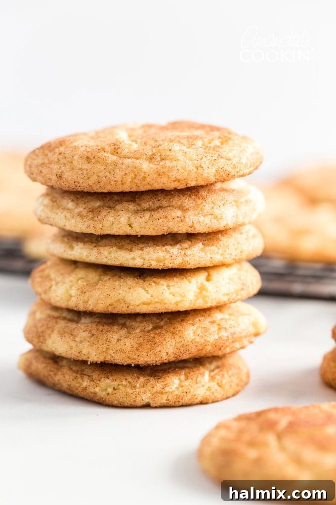 A beautifully arranged stack of freshly baked snickerdoodles.