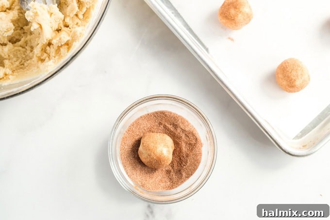 A single cookie dough ball being rolled in a bowl of cinnamon sugar.