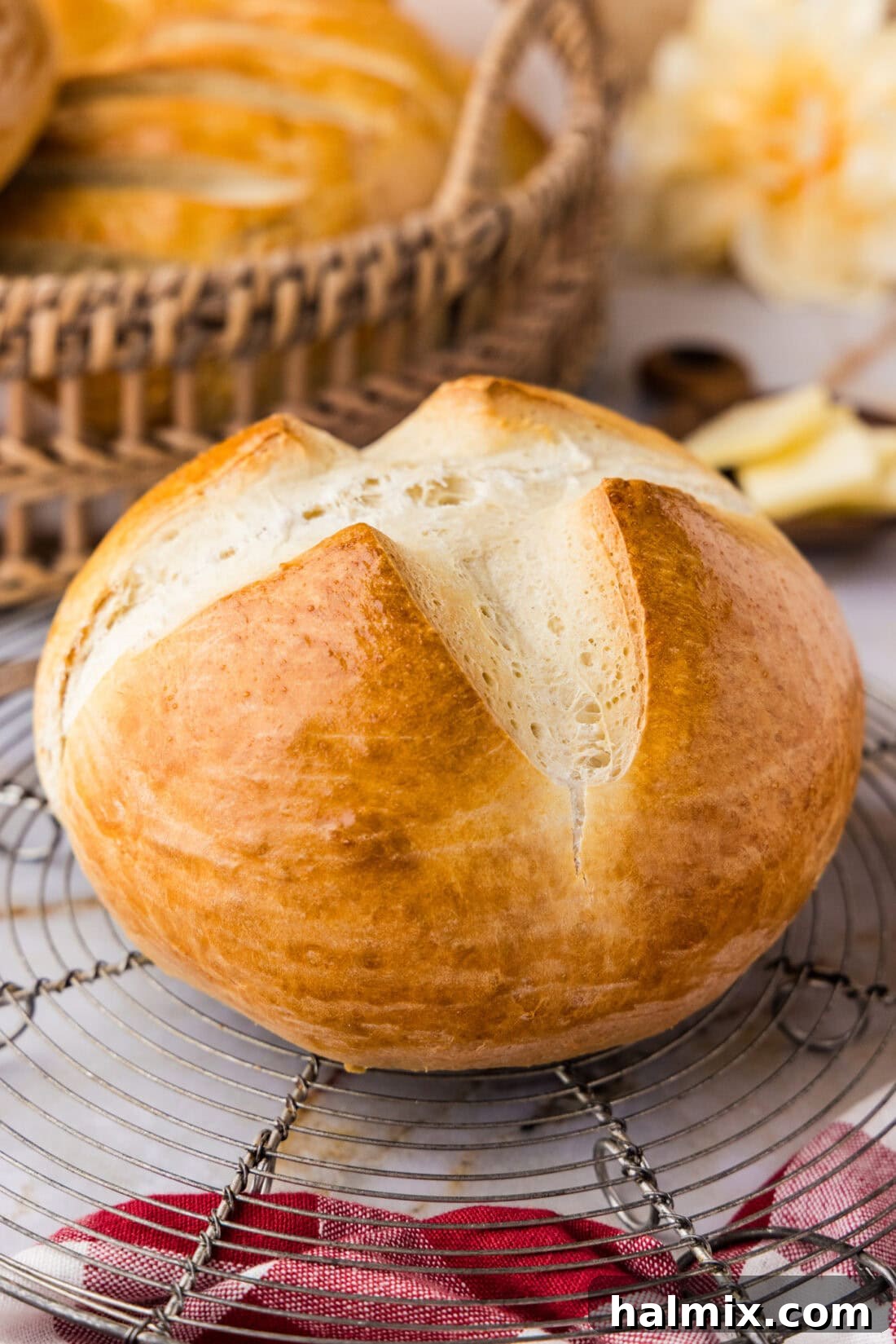 The 60-Minute Loaf 10 Round loaf of One Hour Bread, showcasing a perfectly golden crust and inviting texture