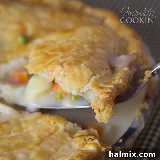 A beautifully presented, delicious homemade chicken or turkey pot pie, perfect for any meal.