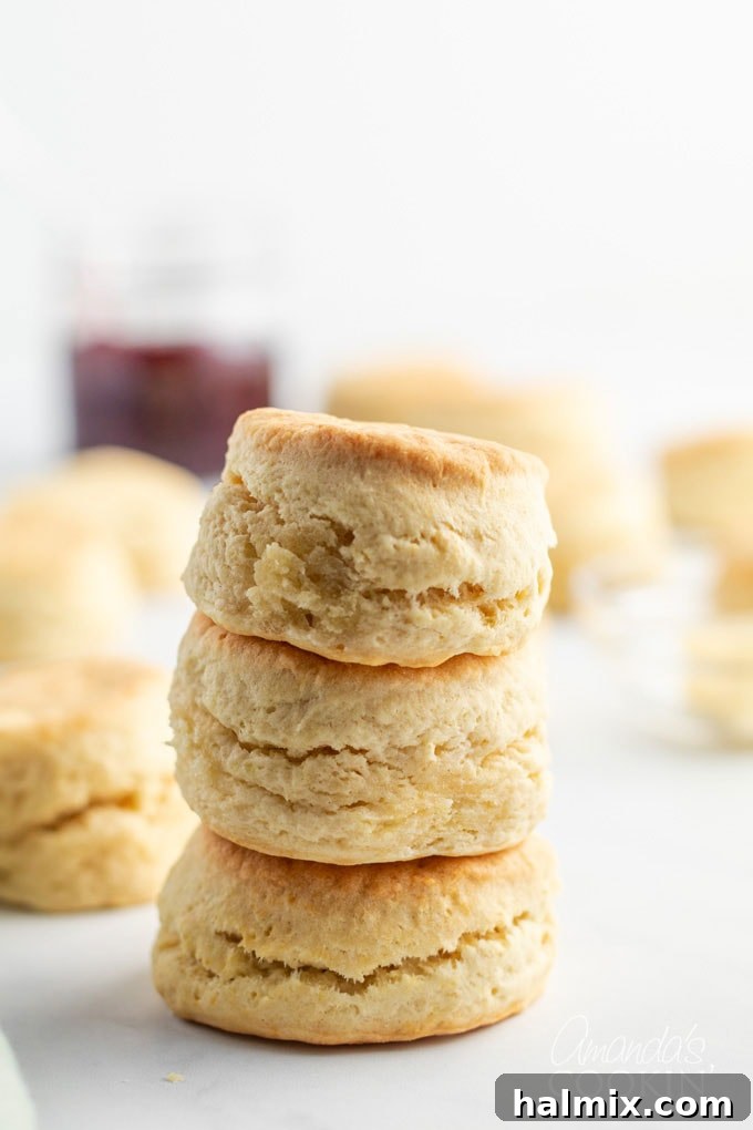 stack of homemade biscuits