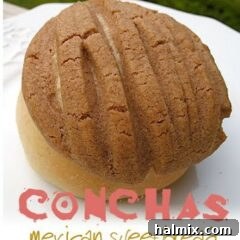 A close up photo of a perfectly baked Concha, showcasing its iconic shell pattern and golden-brown crust.