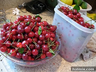 fresh sour cherries