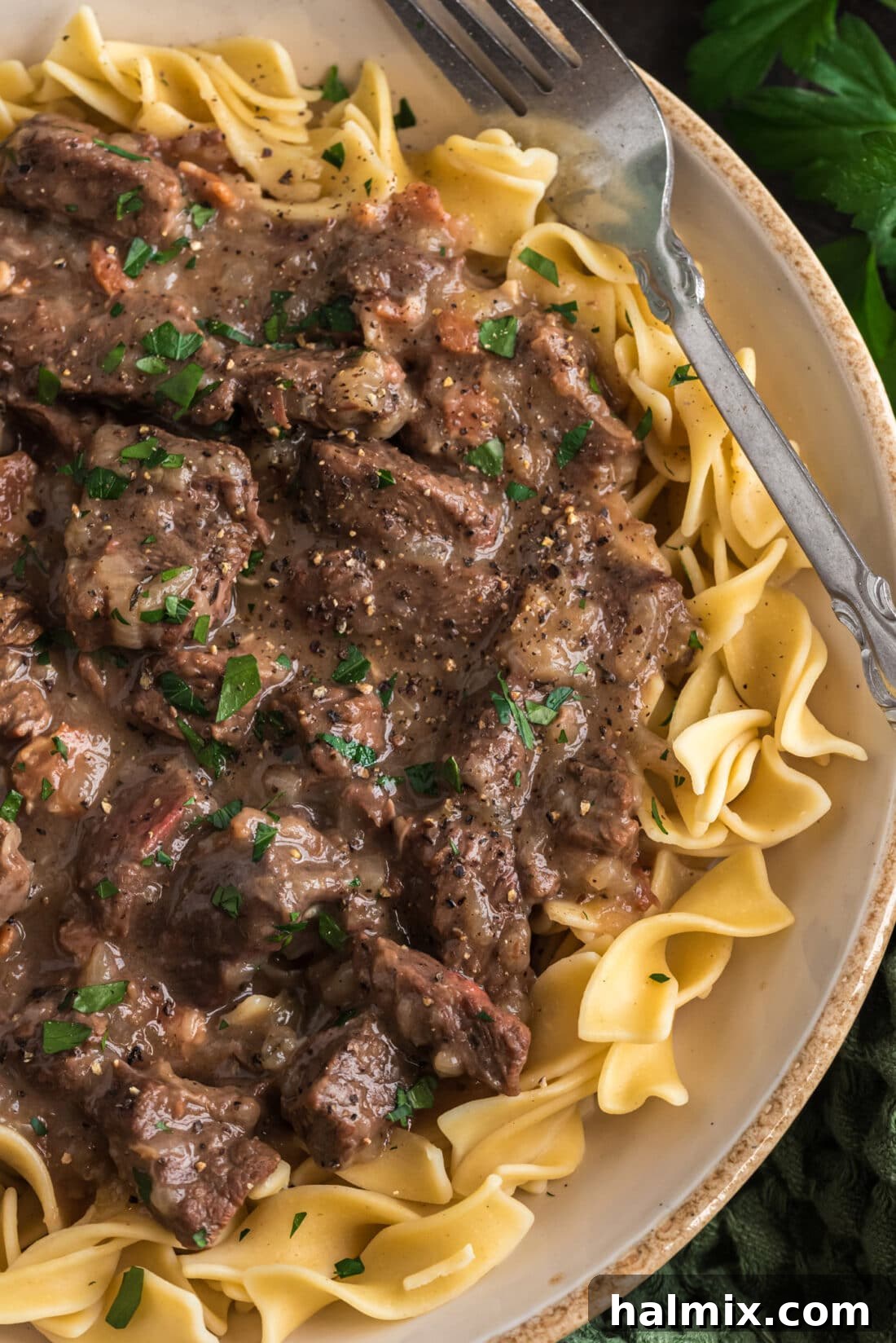 An overhead view of a plate featuring a generous serving of Beef Carbonnade, rich in beef, onions, and gravy, perfectly served over a bed of tender noodles.