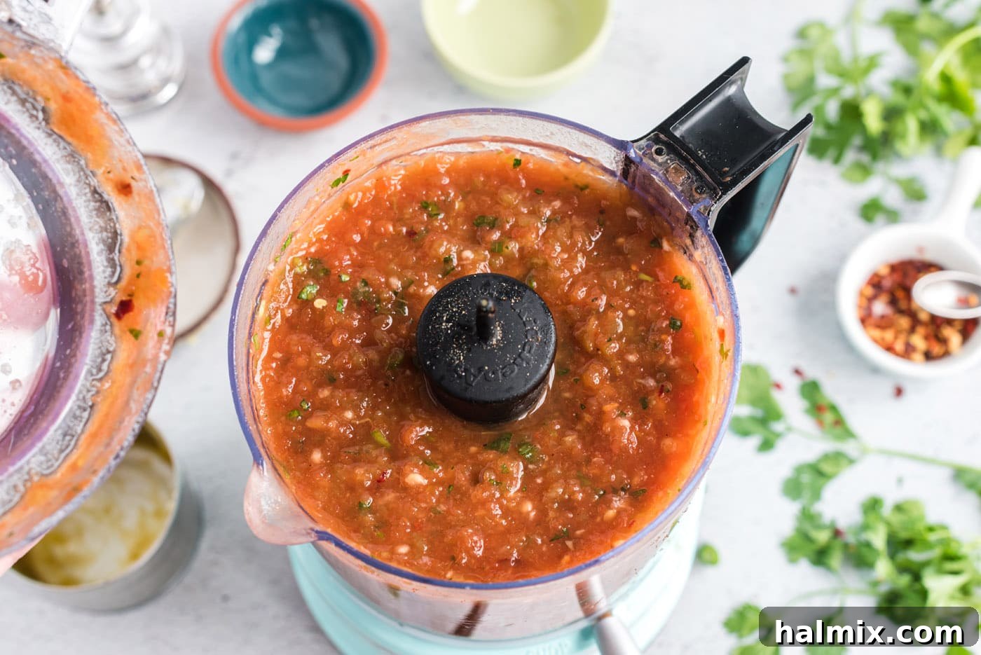 restaurant style salsa blended in a food processor