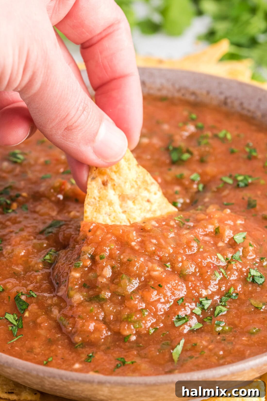 chip dipped into Restaurant Style Salsa