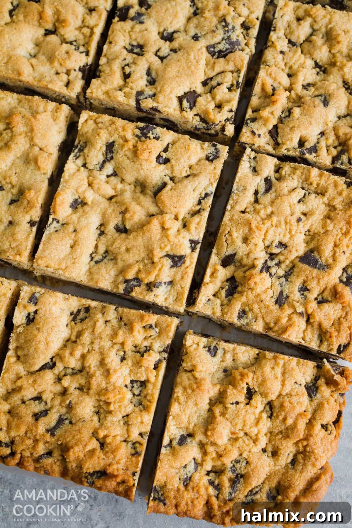 overhead photo of chocolate chip bars