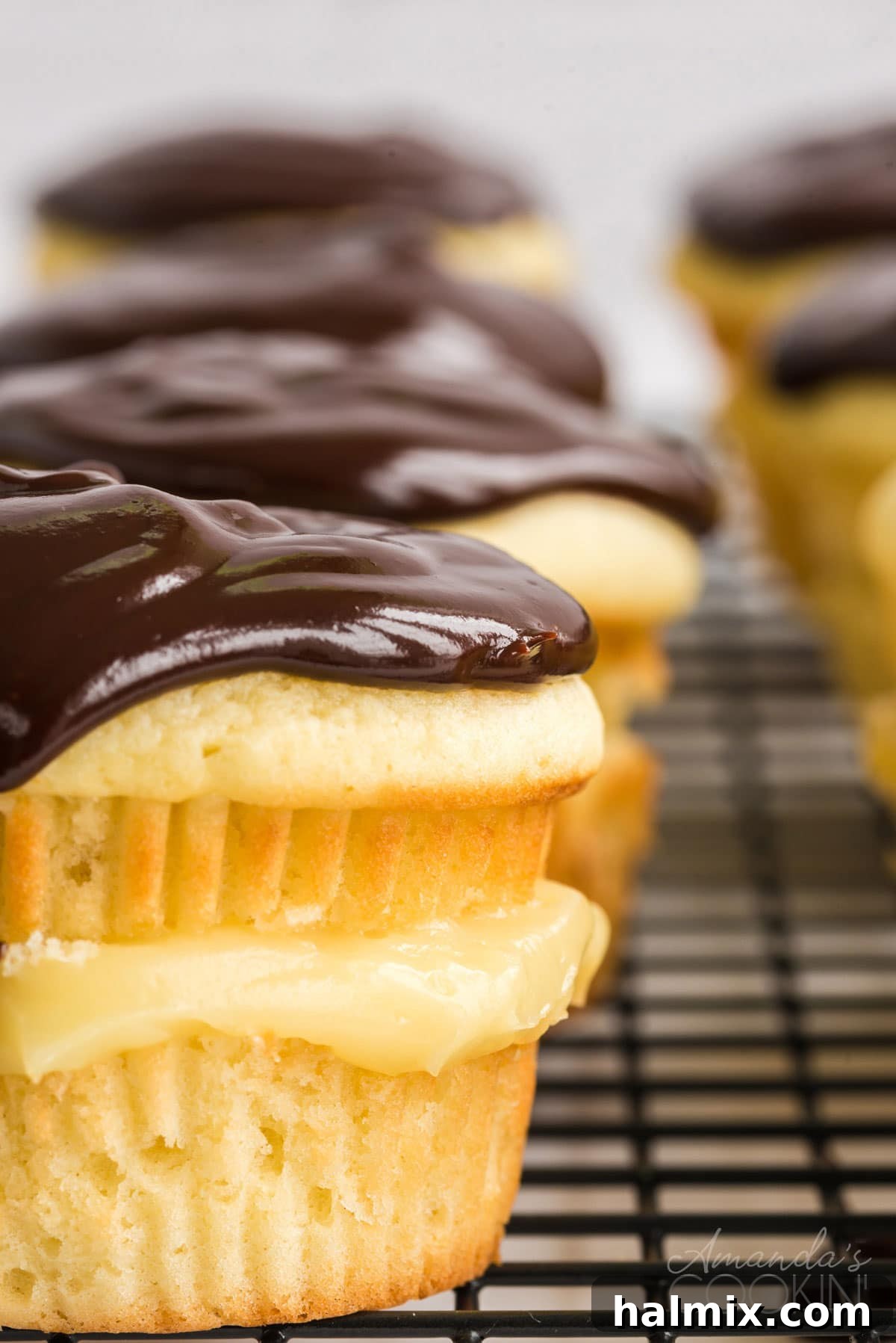 close up of Boston cream pie cupcake with chocolate topping