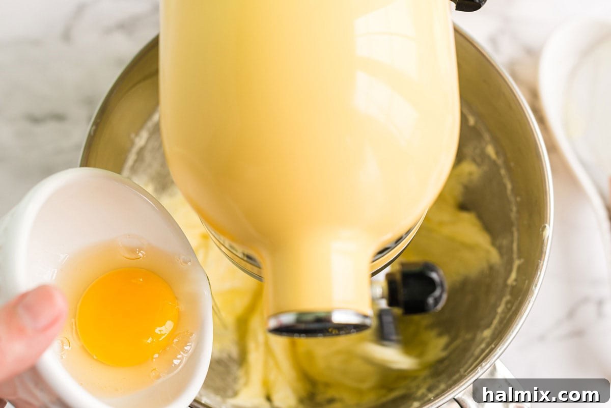 adding egg to mixer