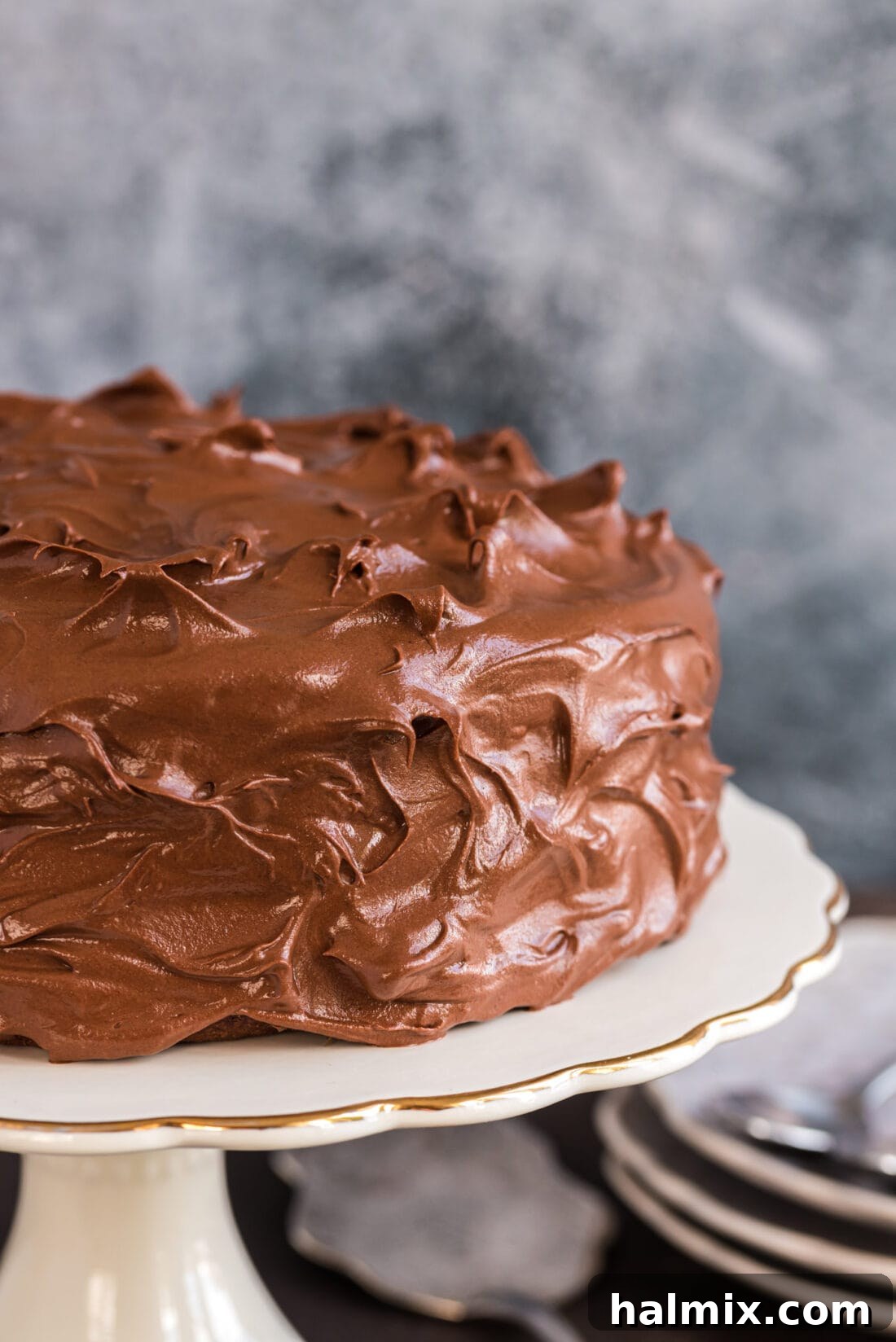 Nigella's Chocolate Fudge Cake on a stand